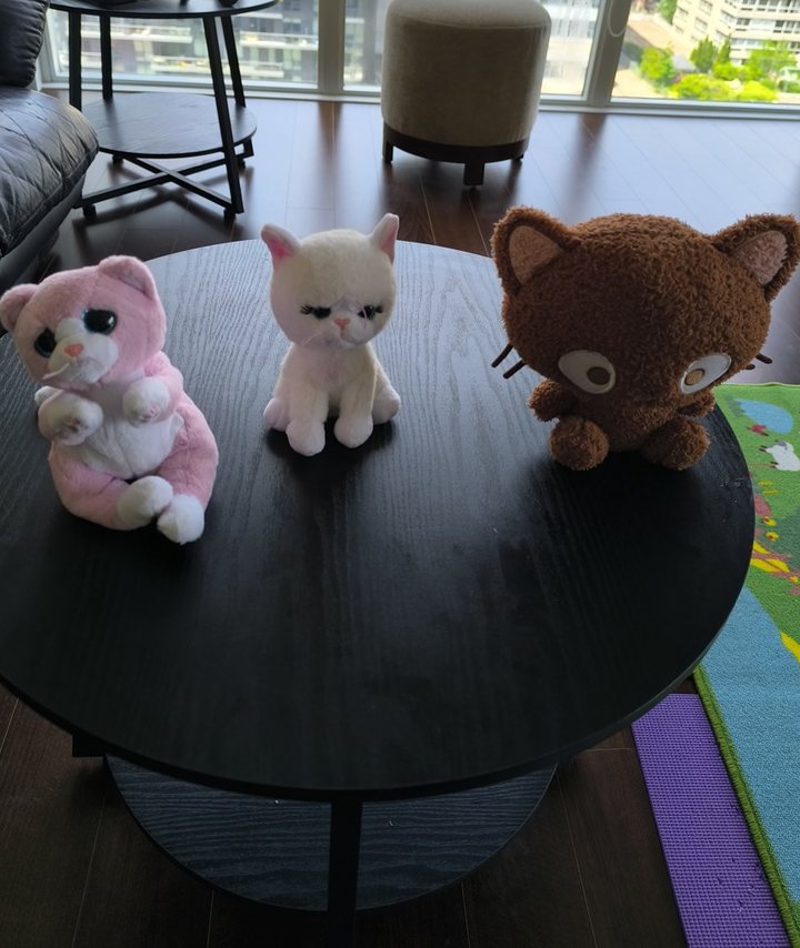 Photo: three plush cats